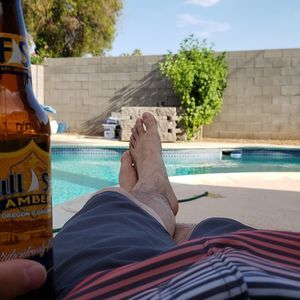 Meet your Posher, Harry